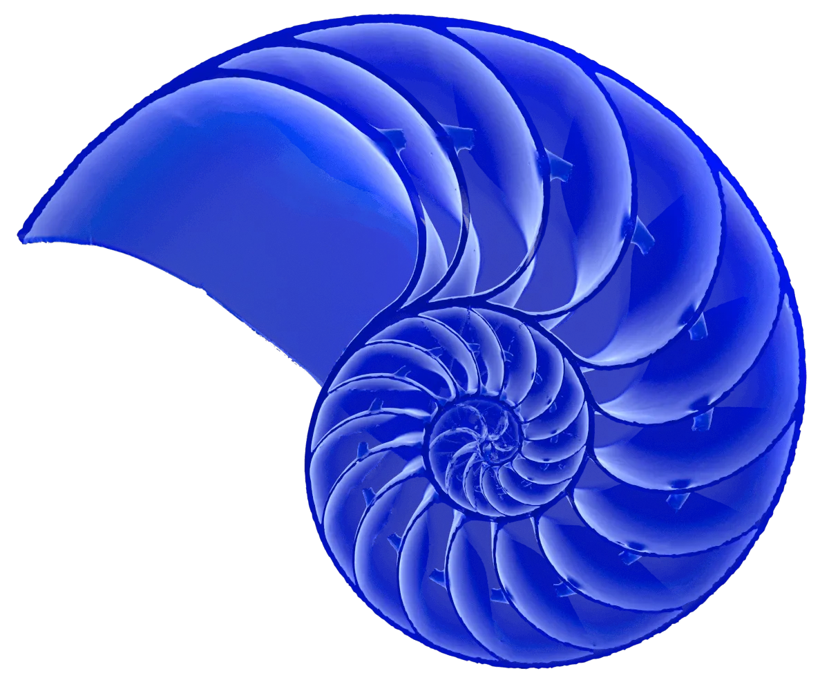 3D Illustration of a nautilus shell